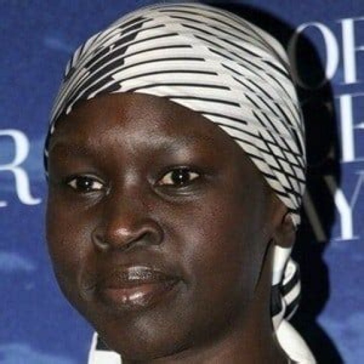 Alek Wek (Model) Wiki, Bio, Age, Height, Weight, Net Worth, Boyfriend, Ethnicity Facts