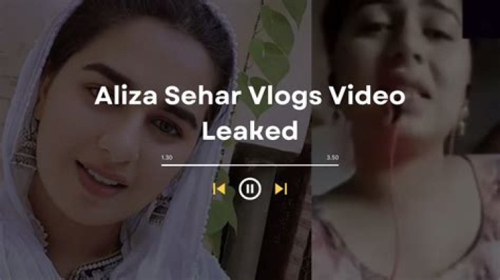 Aliza Sehar, the YouTuber, Reacts to Viral Instagram and Twitter Video by V Lake - SarkariResult