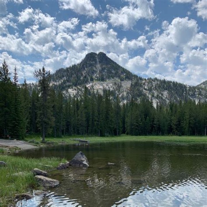 Anthony Lake