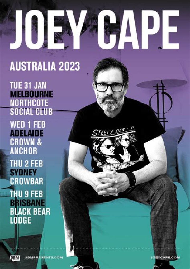 Joey Cape Net Worth