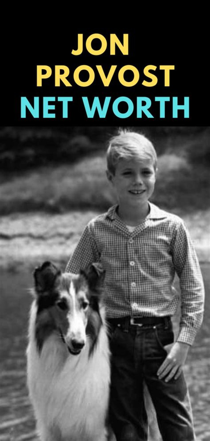 Jon Provost Net Worth