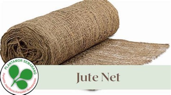 Jute Net Worth