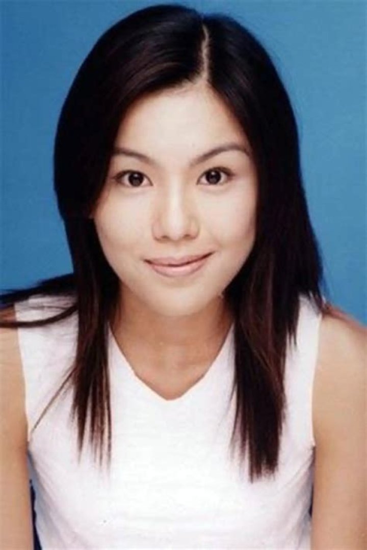 Lillian Ho Net Worth