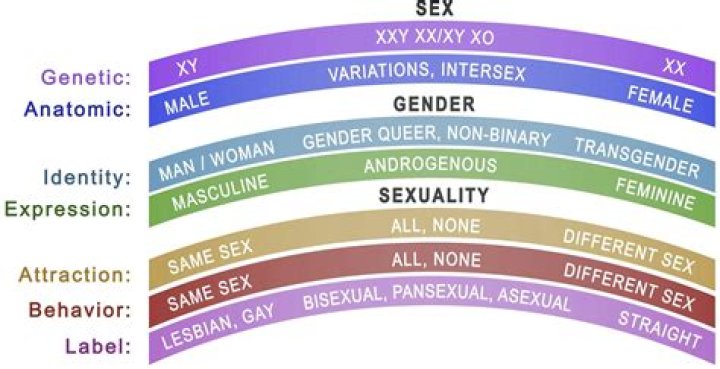 Mo Rocca's Sexual Orientation and Background: Exploring Mo Rocca's Identity - SarkariResult