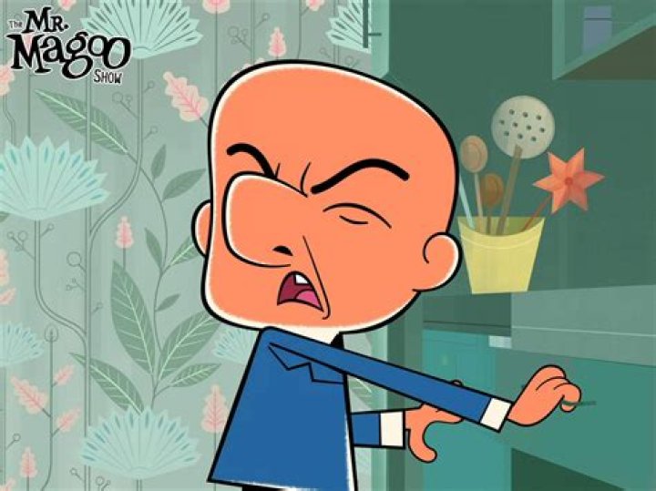 Mr. Magoo Net Worth