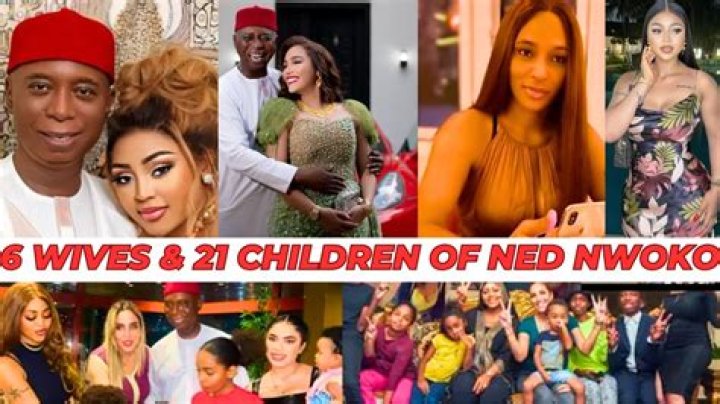 Ned Nwoko wives and children: names, photos, and everything you should know - SarkariResult