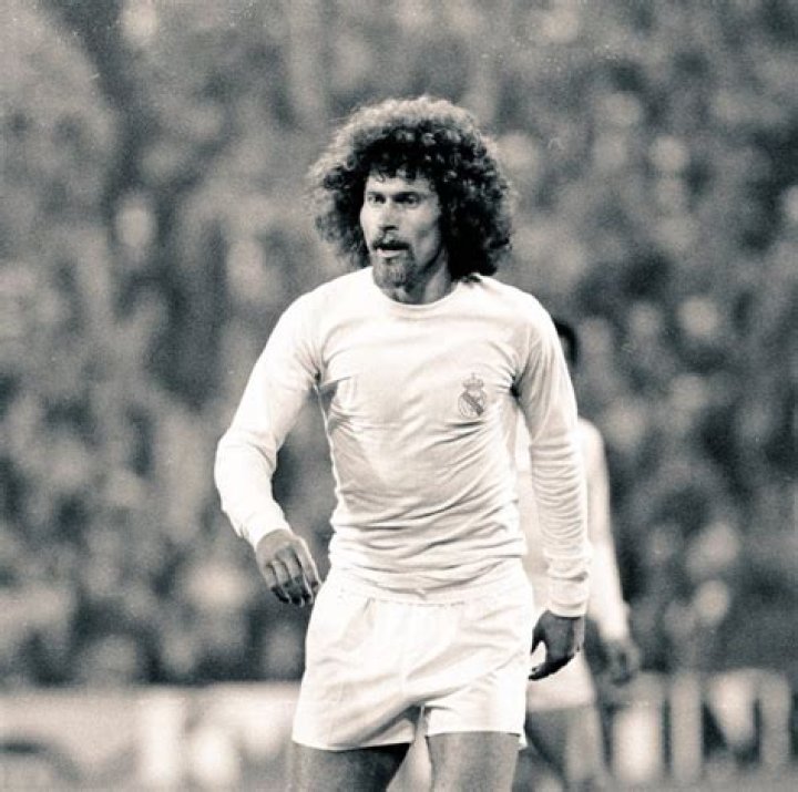 Paul Breitner Net Worth