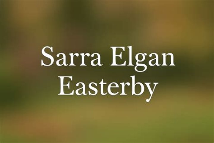 Sarra Elgan Net Worth