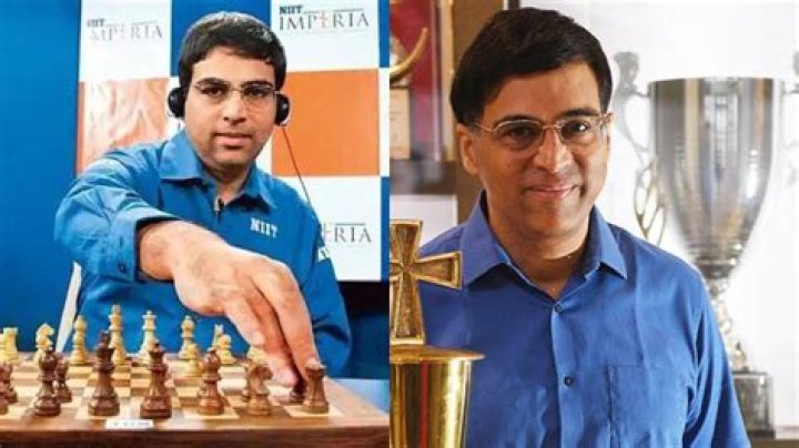 Viswanathan Anand Net Worth